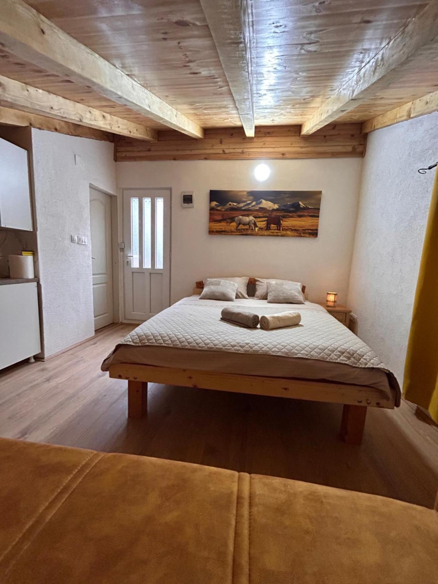 Apartments Javorje Zabljak 外观 照片