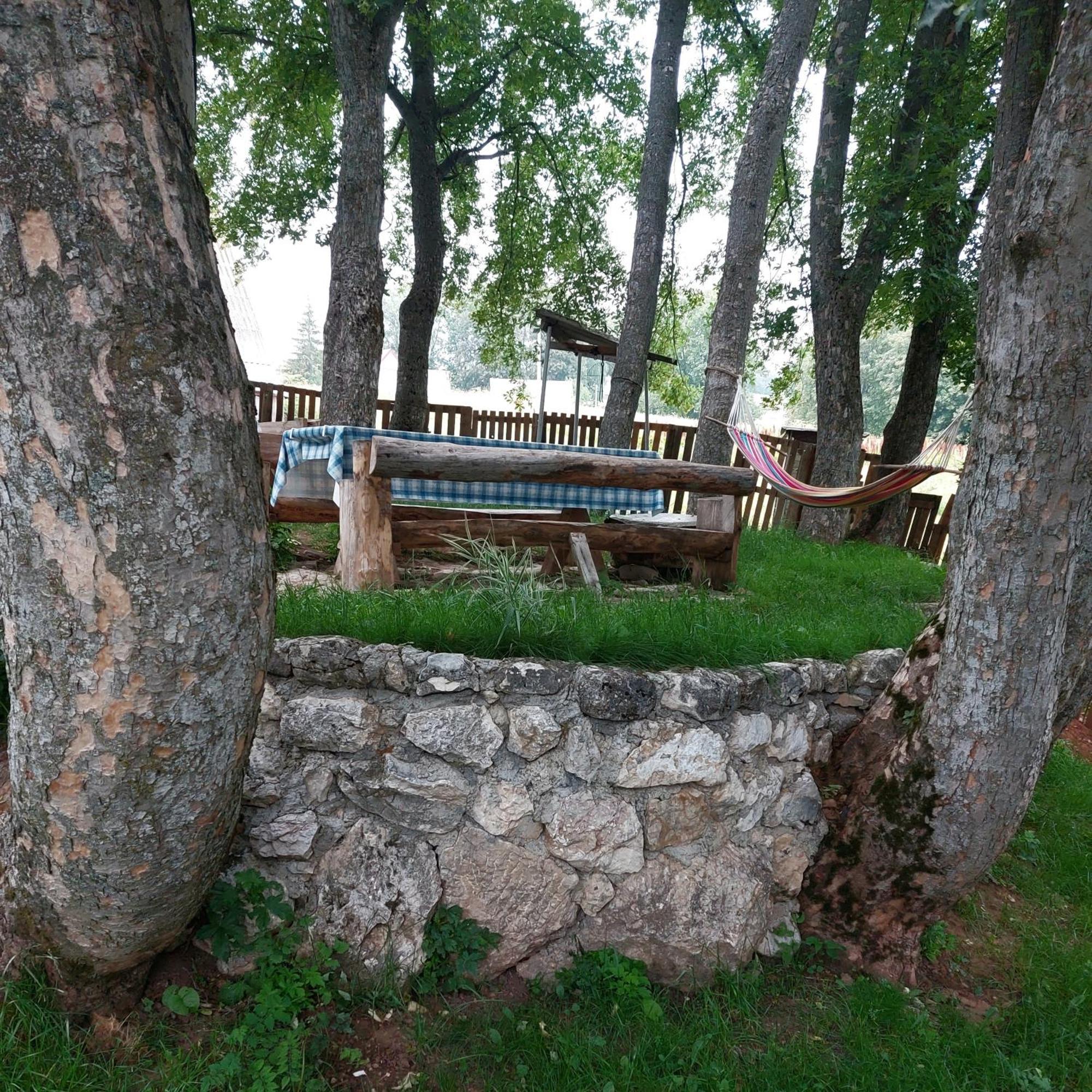 Apartments Javorje Zabljak 客房 照片